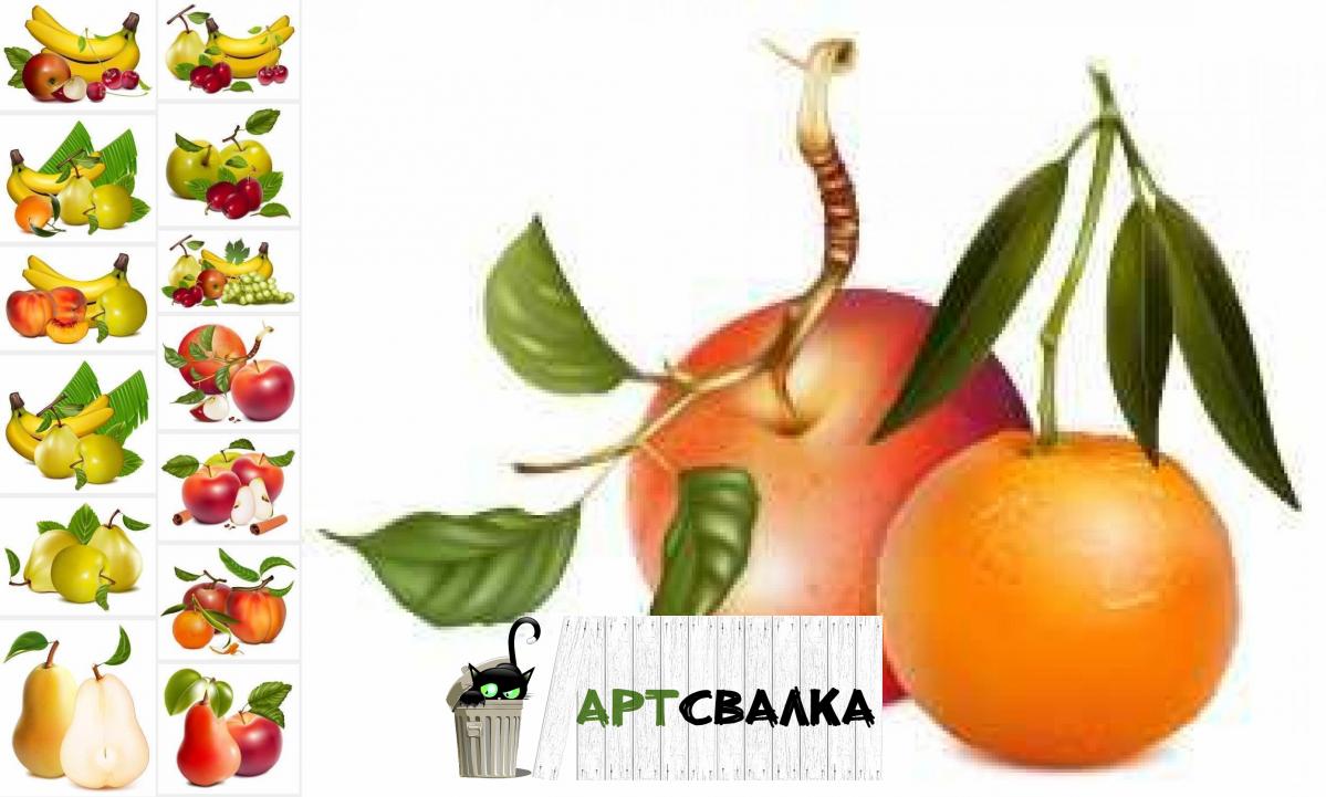 Фрукты клипарт вектор	 | Fruits vector clipart